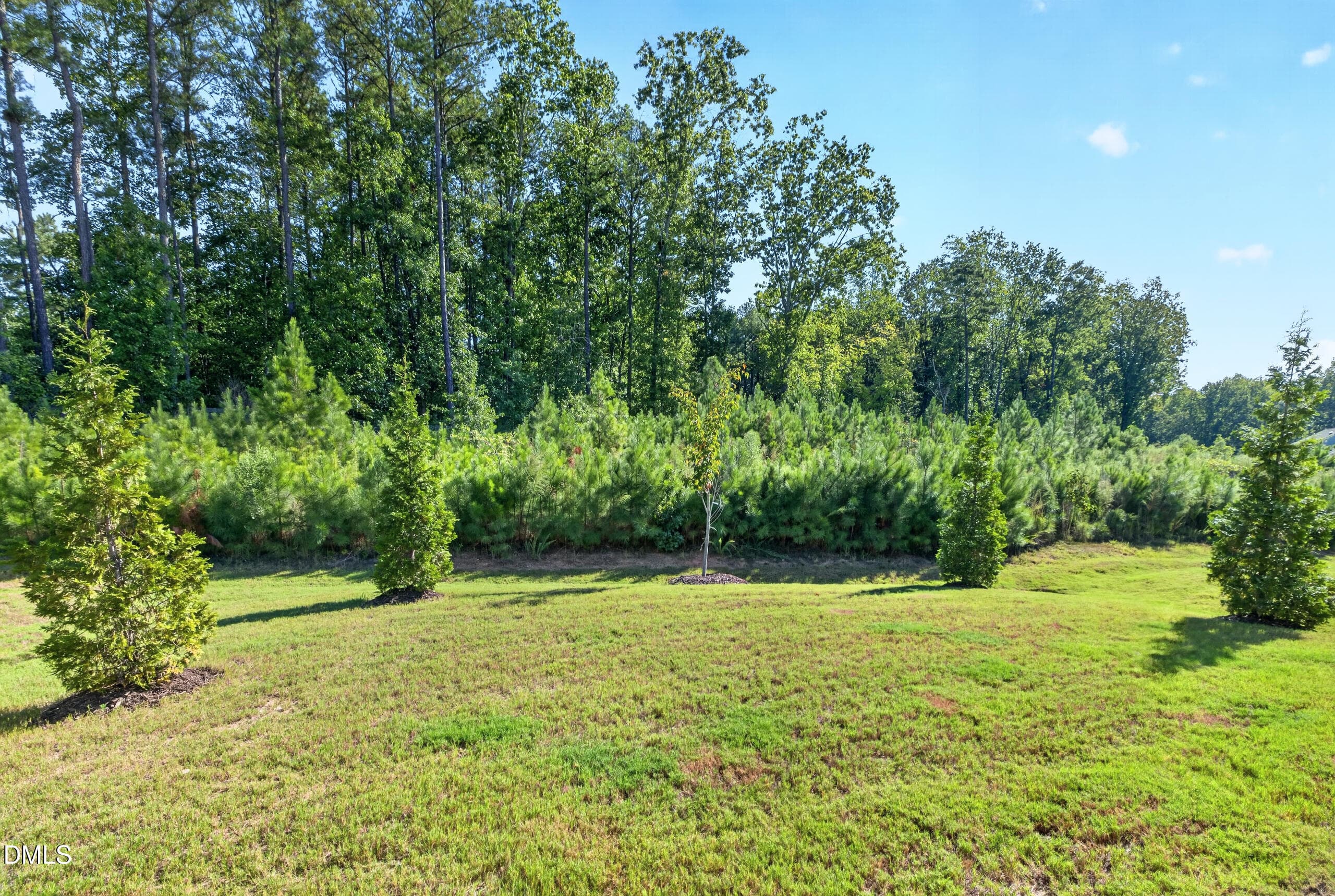 067__B5A8957 - 945 Coast Grade Street, Wake Forest, NC 27587