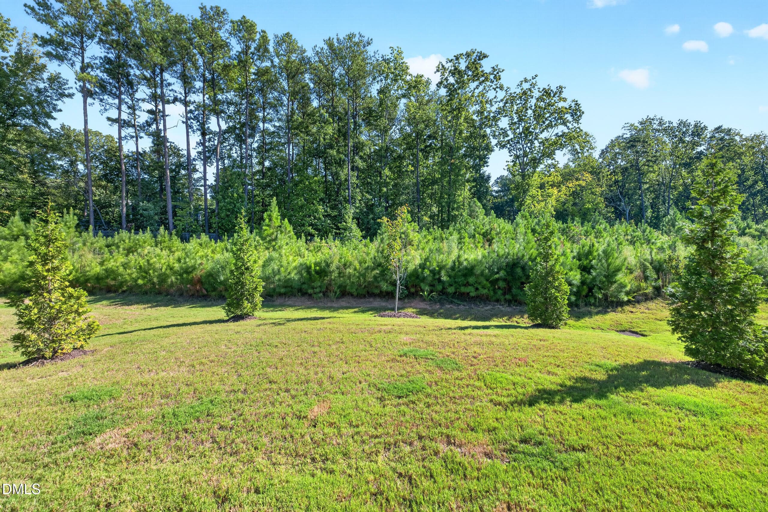 066__B5A8950 - 945 Coast Grade Street, Wake Forest, NC 27587