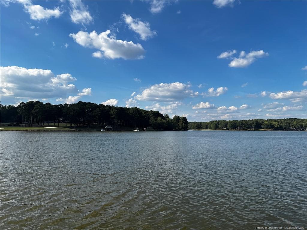 Photo 2 - 2013 Sandalwood Drive, Sanford, NC 27332, Sanford