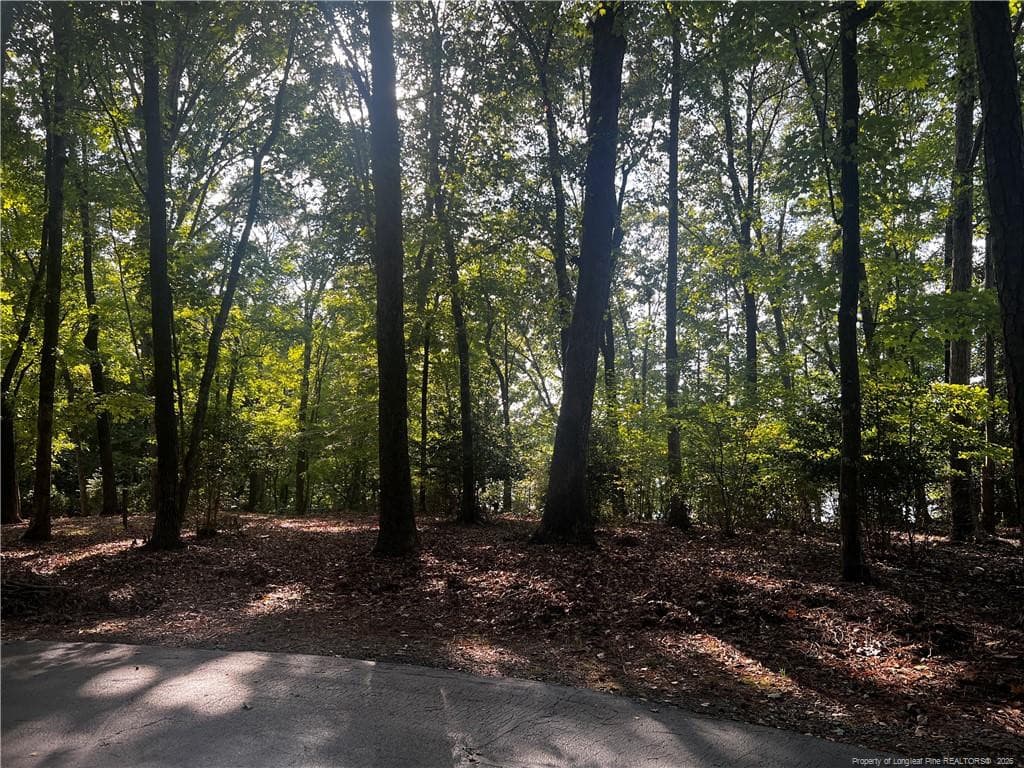 Photo 6 - 2013 Sandalwood Drive, Sanford, NC 27332, Sanford