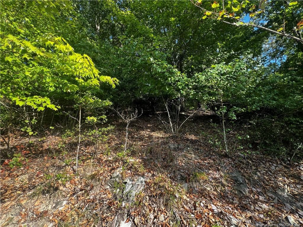 Photo 7 - 2013 Sandalwood Drive, Sanford, NC 27332, Sanford