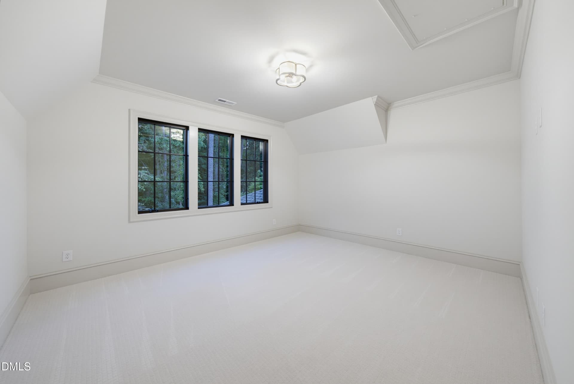 DSC05743 - 1008 Oldfourth Lane, Durham, NC 27707
