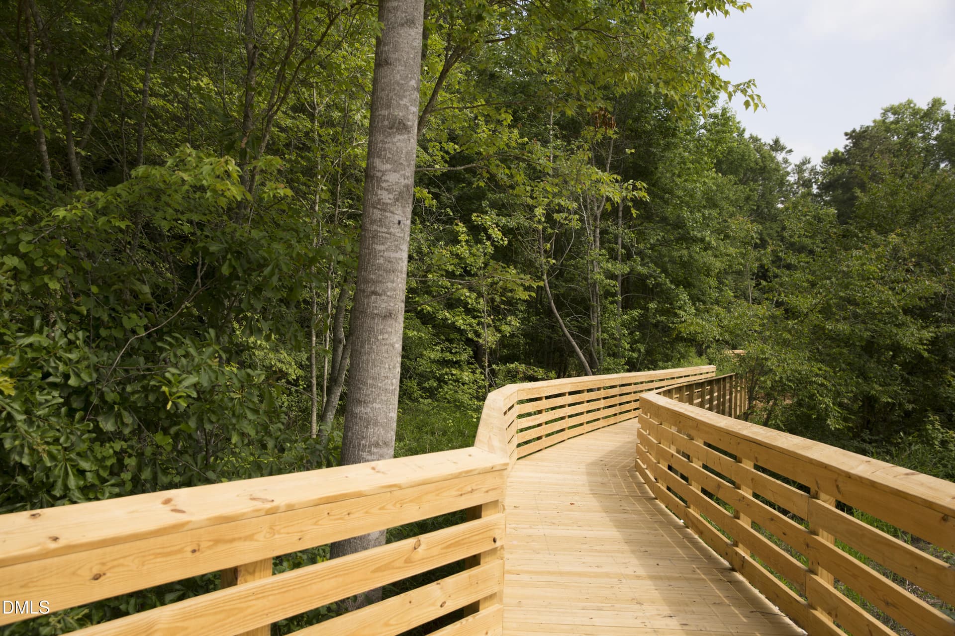 Bridge - 1804 Avett Song Place, Wendell, NC 27591