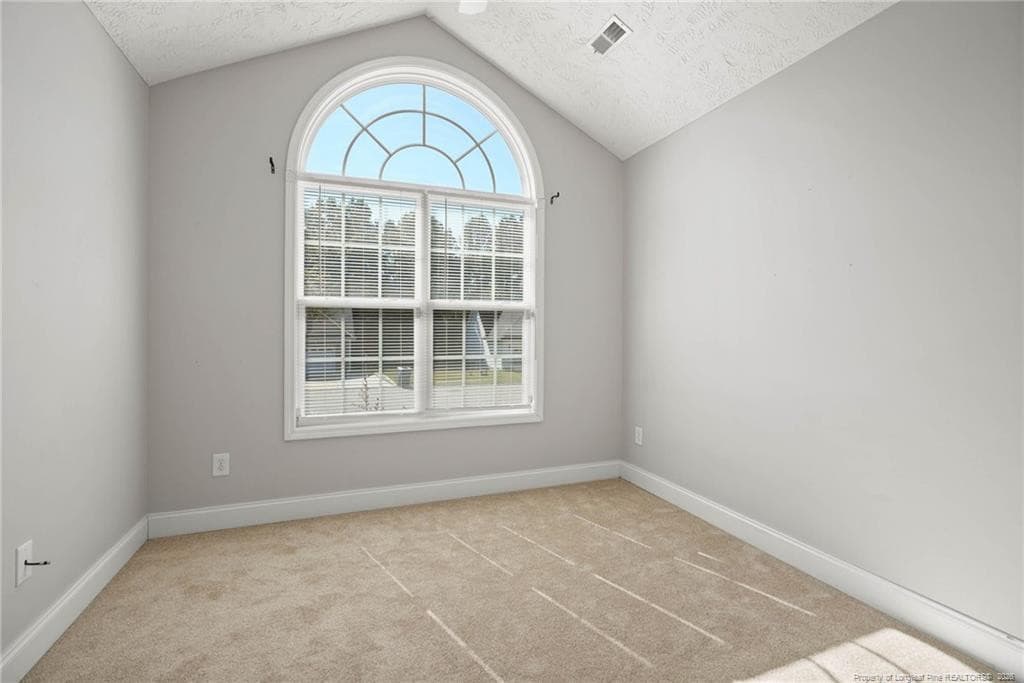 Photo 15 - 264 Himalaya Drive, Raeford, NC 28376