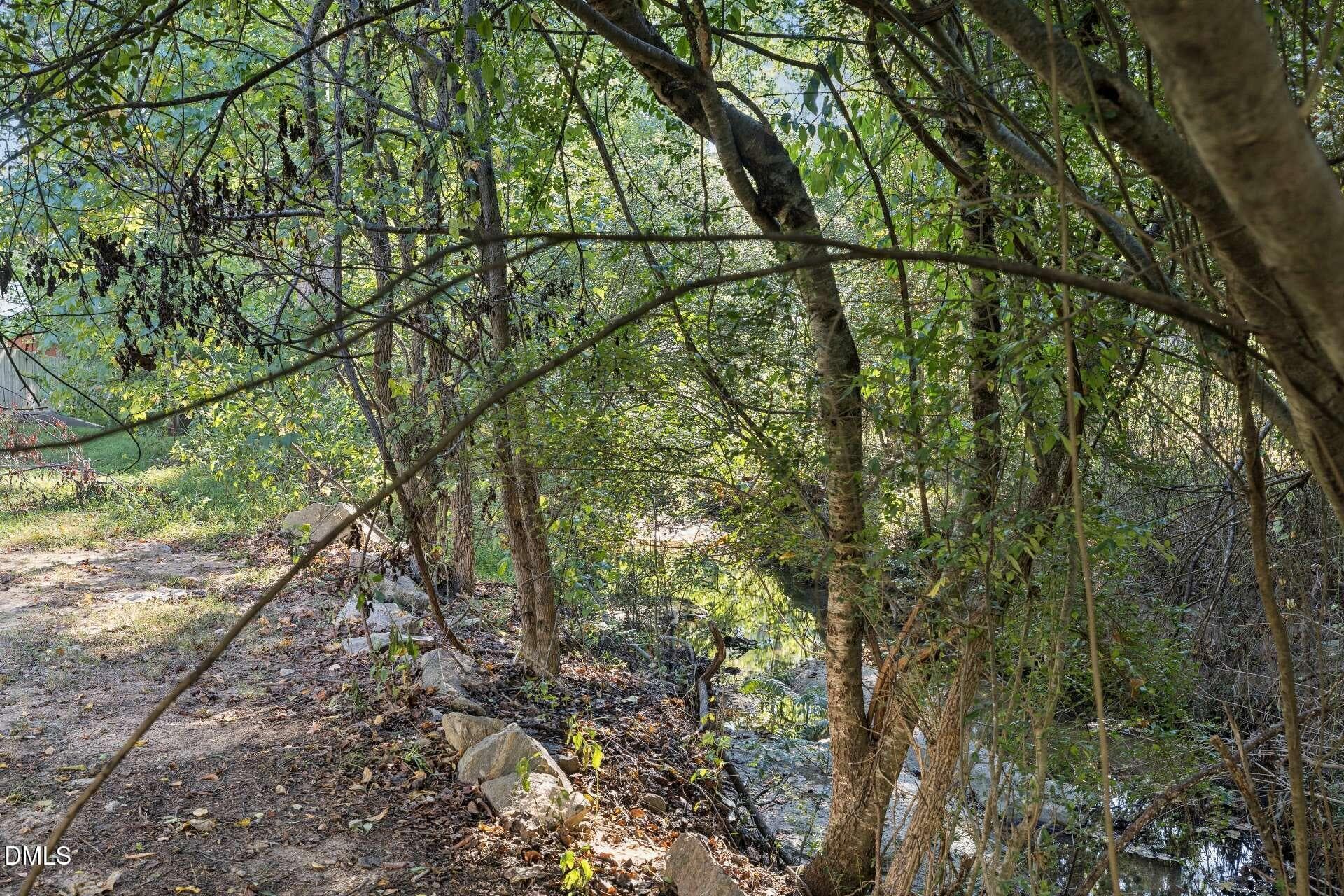 Backyard Stream - 516 Deacon Ridge Street, Wake Forest, NC 27587