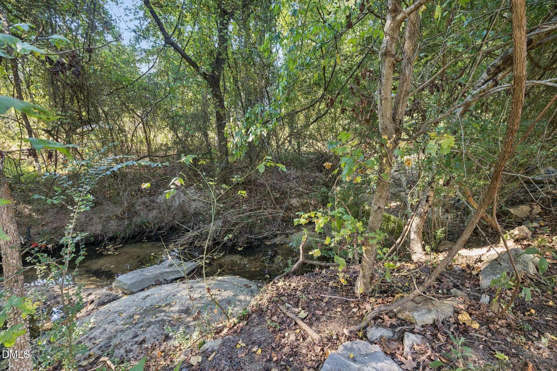 Backyard Stream - 516 Deacon Ridge Street, Wake Forest, NC 27587