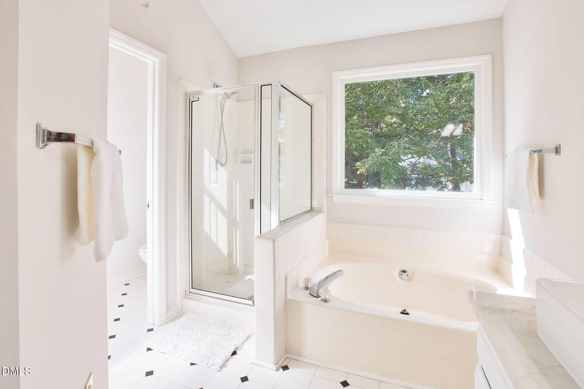 302A0672 - 115 Arvo Lane, Cary, NC 27513