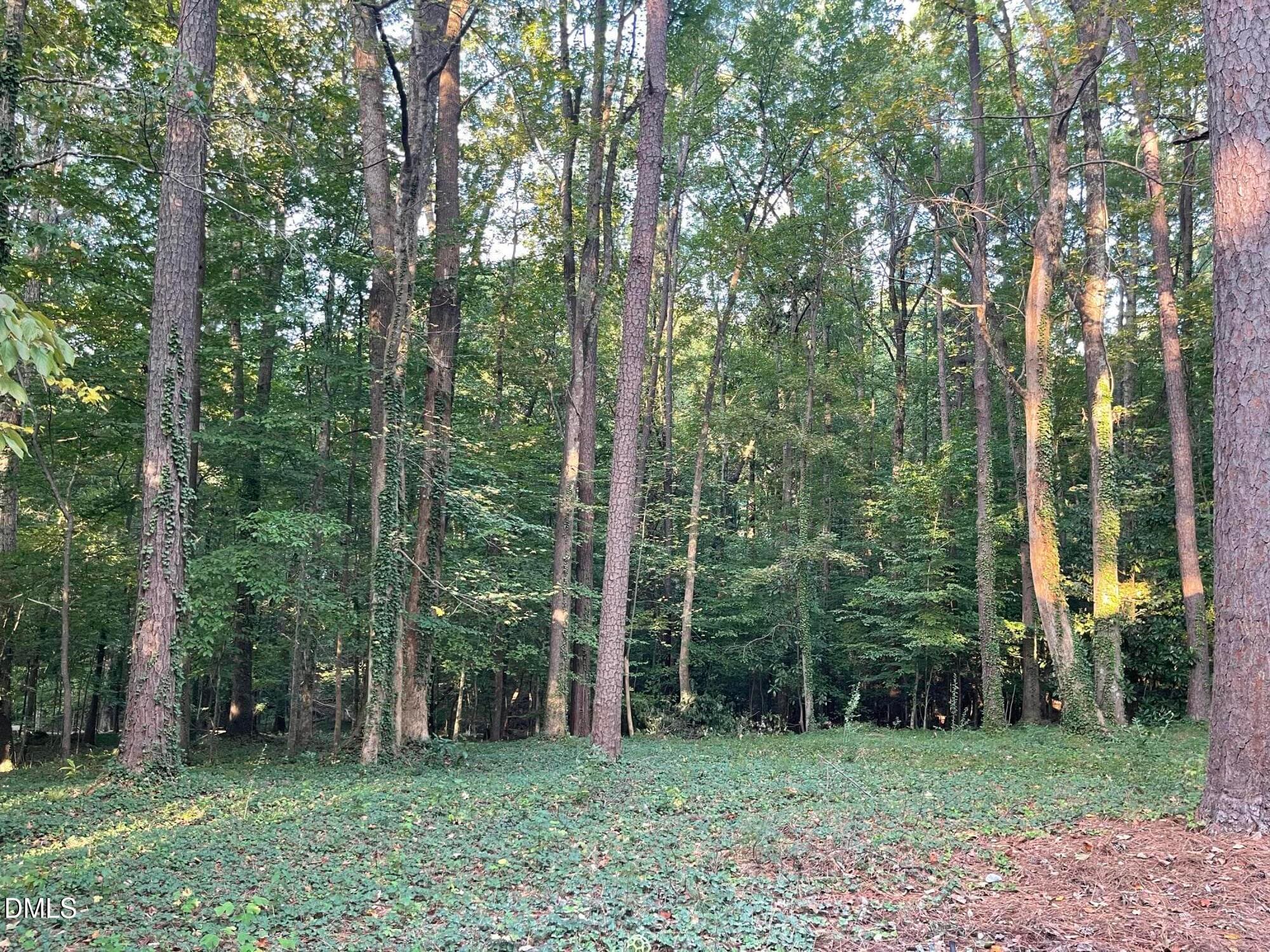 View From Patio - 4833 Brookhaven Drive, Raleigh, NC 27612