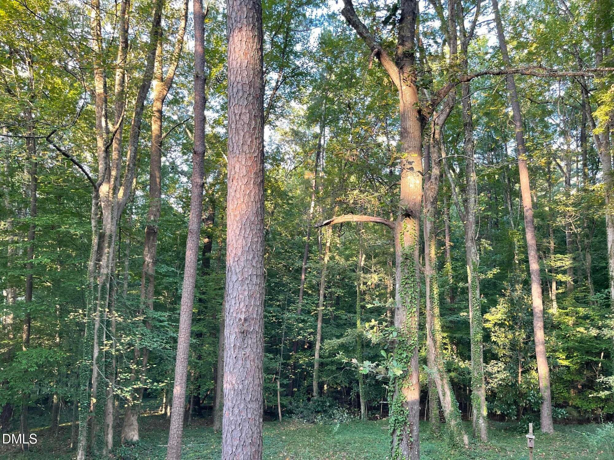 View From the Deck - 4833 Brookhaven Drive, Raleigh, NC 27612
