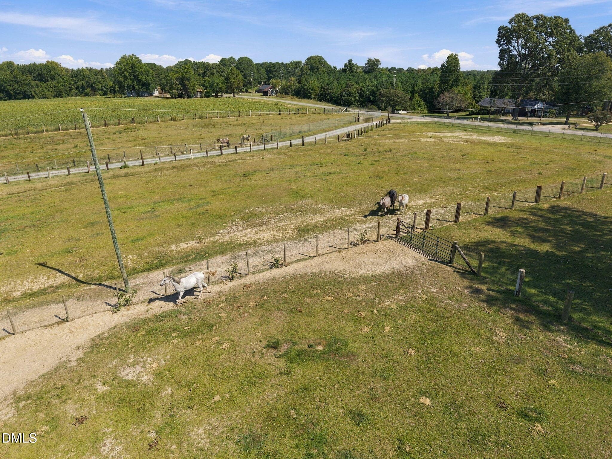 38847 - 144 Wolfridge Court, Willow Springs, NC 27592, Willow Springs