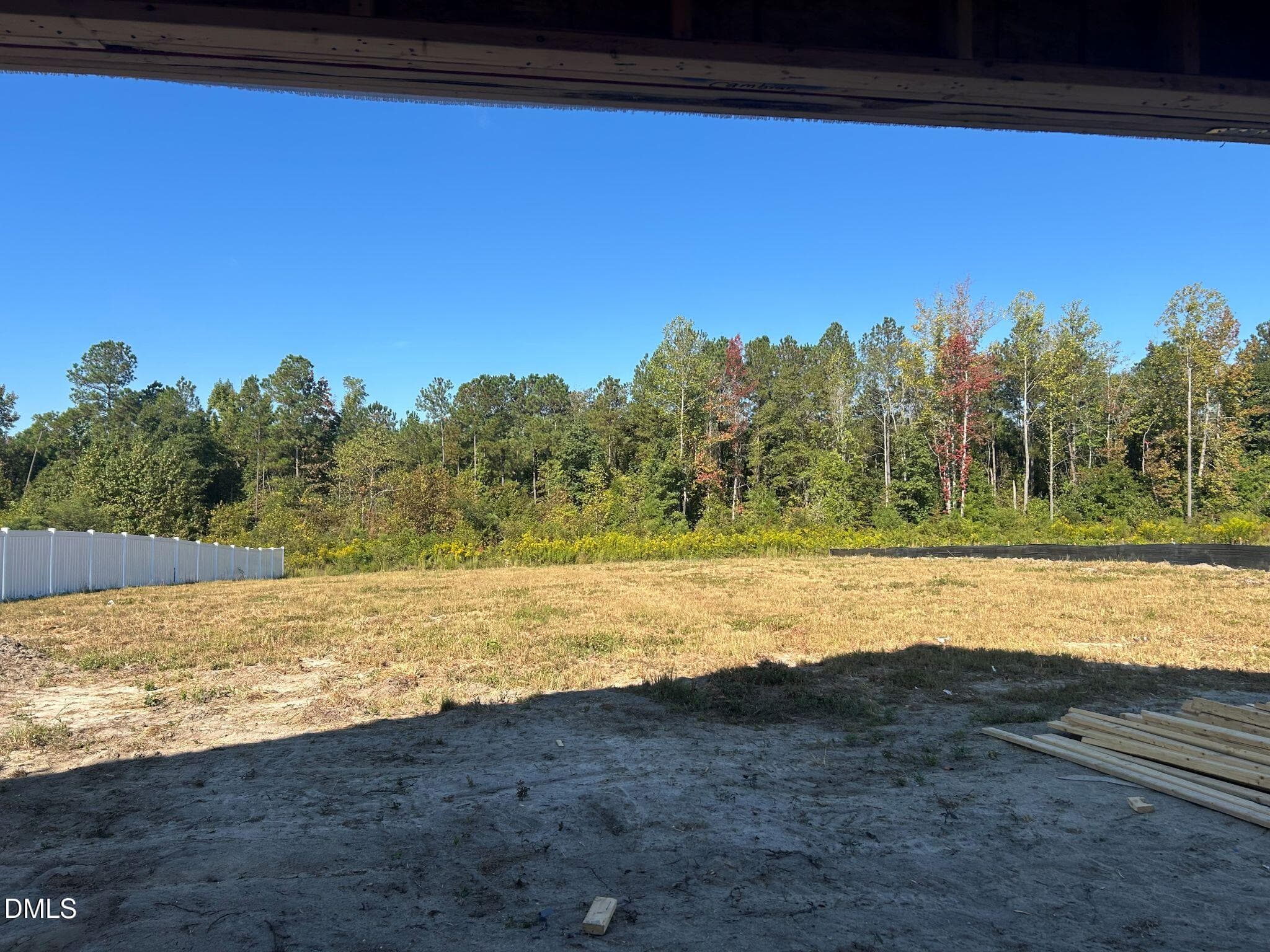 43 backyard view - 156 Mendenhall Drive, Angier, NC 27501