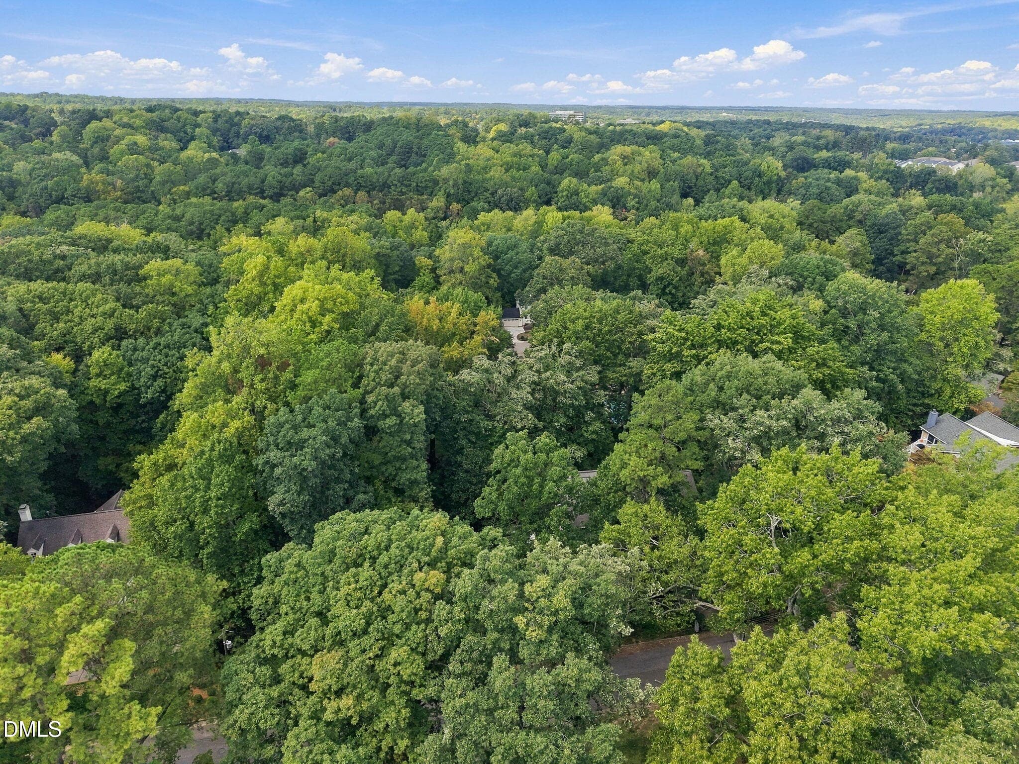 11-web-or-mls-DJI_20260930133448_0023_D - 2404 Rockridge Court, Raleigh, NC 27612, Raleigh