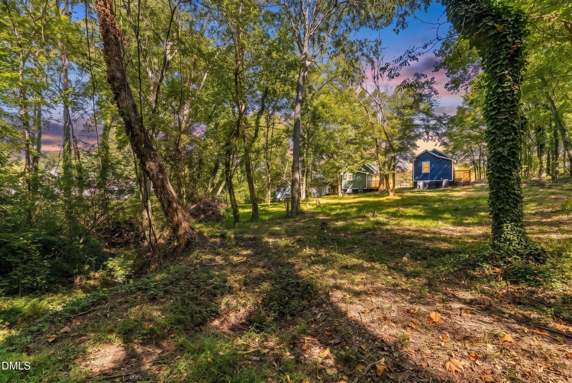 BACKYARD VIEW - 219 Lanier Street, Oxford, NC 27565