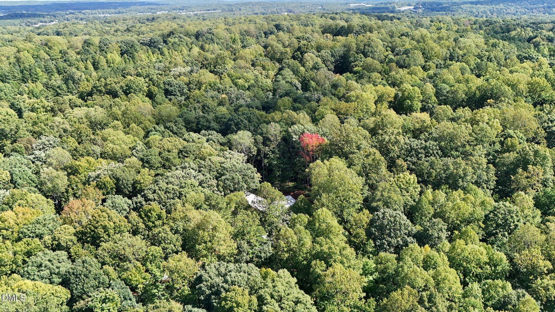 Aerial (2) - 2347 Grady Ridge Way, Hillsborough, NC 27278