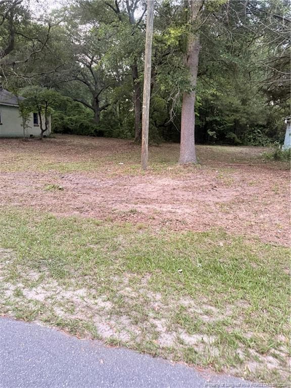 Photo 2 - 23661 Bundy Street, Wagram, NC 28369