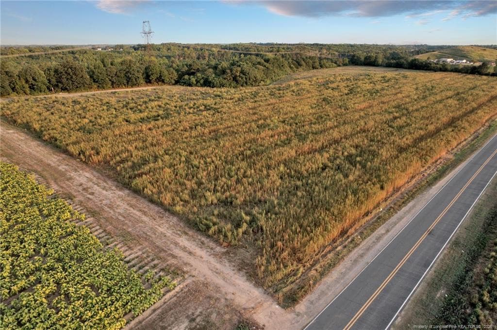 Photo 18 - 00 Daniels (Lot 1) Road, Dunn, NC 28334, Dunn