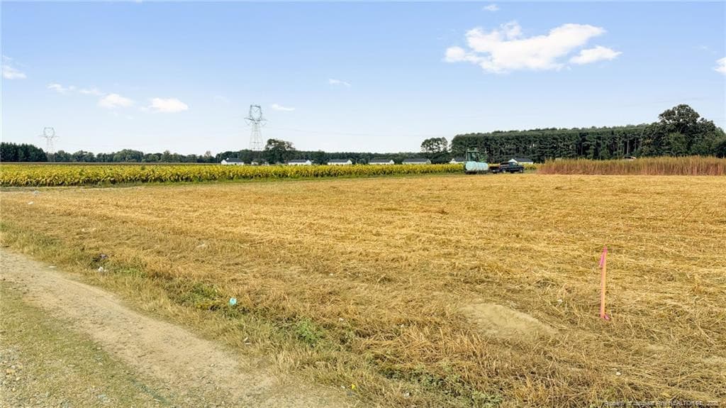 Photo 20 - 00 Daniels (Lot 1) Road, Dunn, NC 28334, Dunn