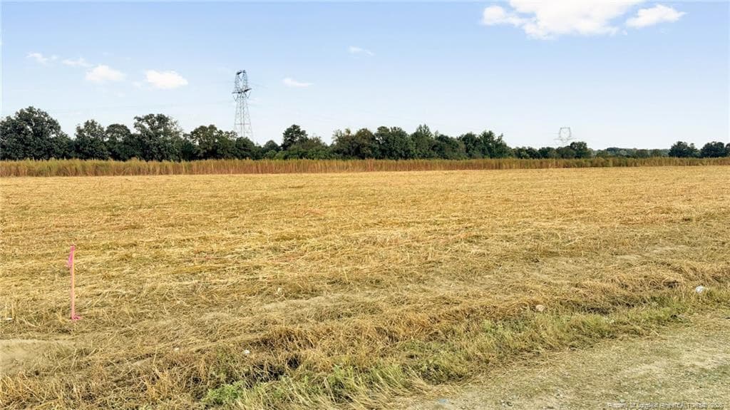 Photo 21 - 00 Daniels (Lot 1) Road, Dunn, NC 28334, Dunn