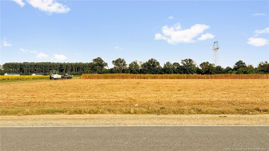 Photo 22 - 00 Daniels (Lot 1) Road, Dunn, NC 28334, Dunn