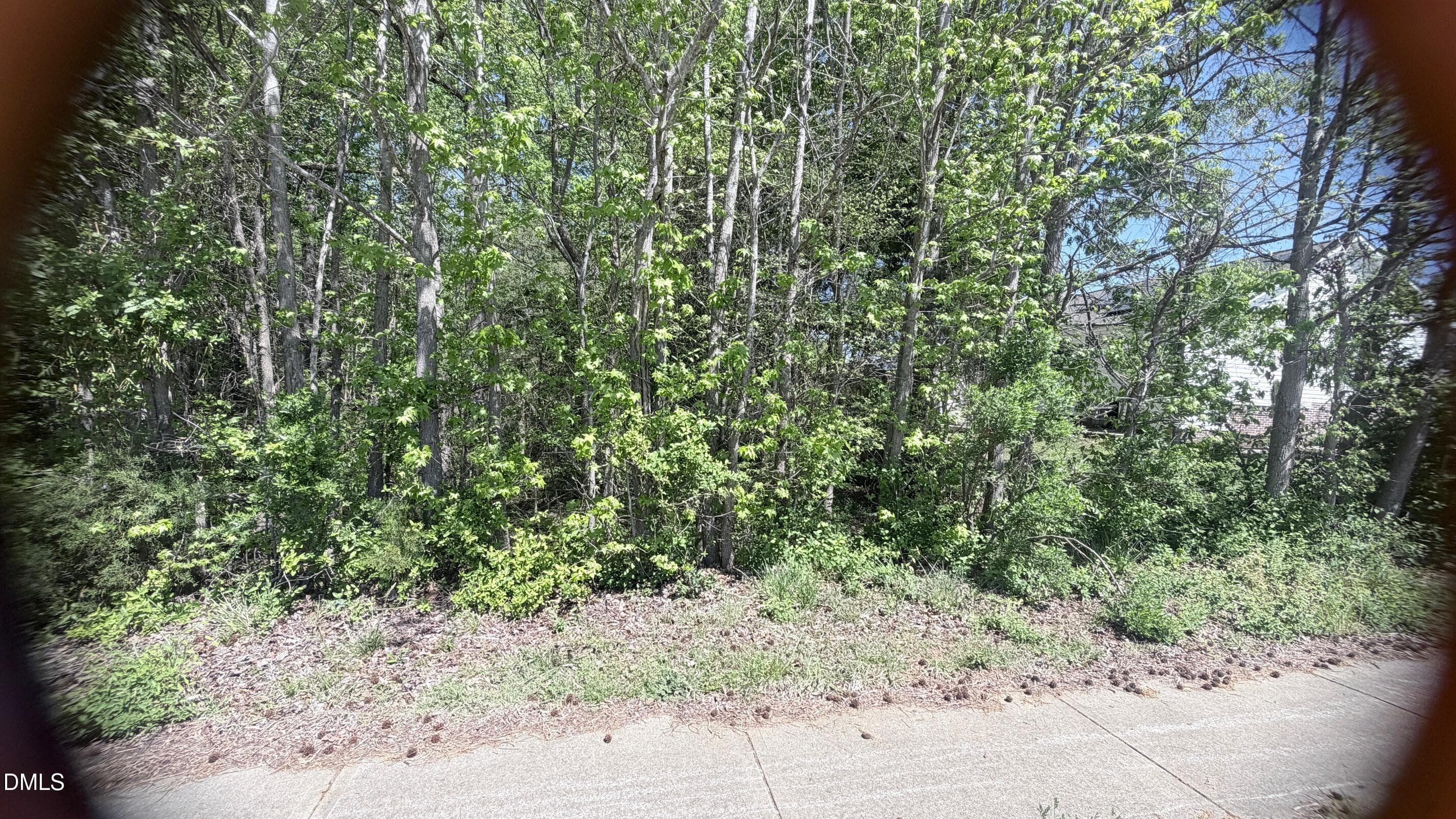 0 Harmony Drive, Siler City, NC 27344