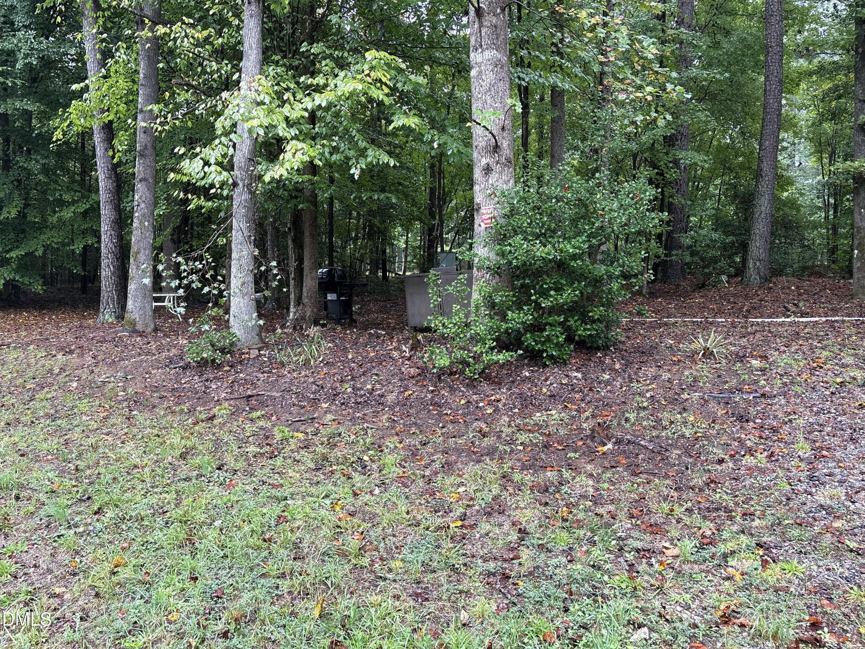 IMG_4510 - 421 Osage Drive, Spring Hope, NC 27882