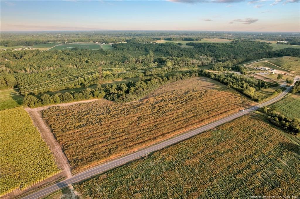 Photo 3 - 00 Daniels (Lot 2) Road, Dunn, NC 28334, Dunn