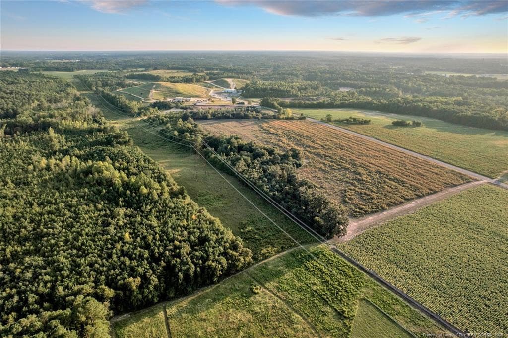 Photo 6 - 00 Daniels (Lot 2) Road, Dunn, NC 28334, Dunn