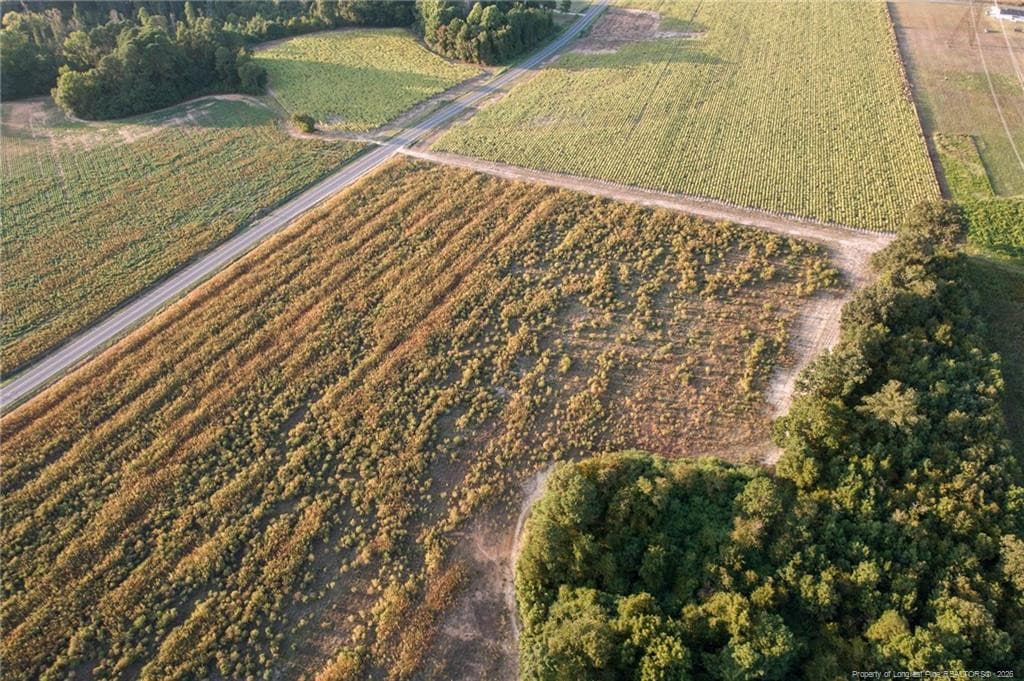 Photo 10 - 00 Daniels (Lot 2) Road, Dunn, NC 28334