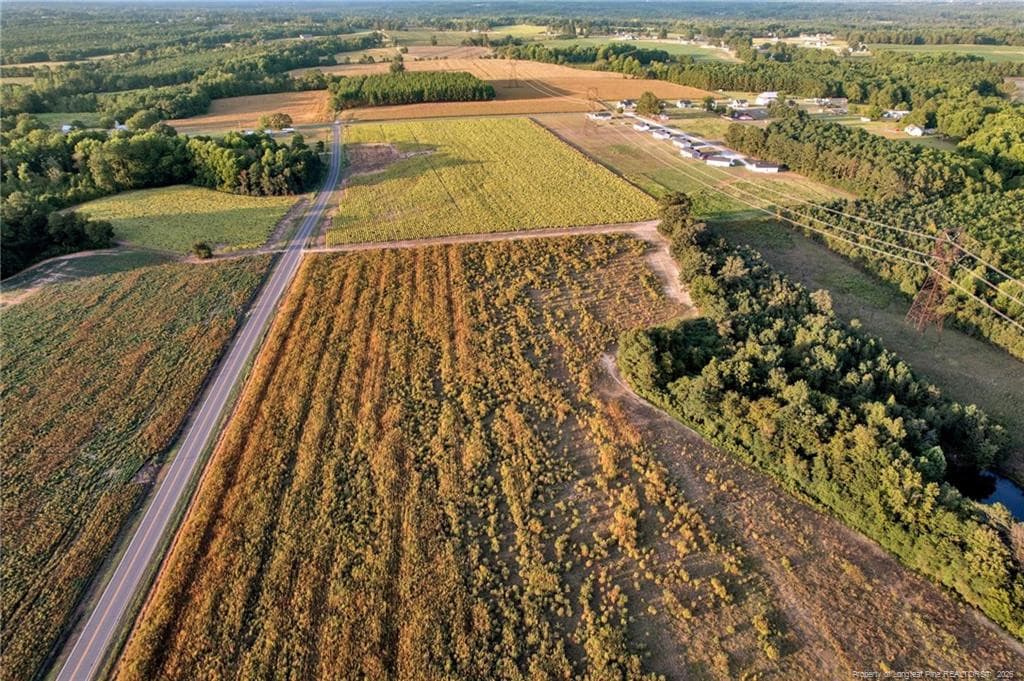 Photo 13 - 00 Daniels (Lot 2) Road, Dunn, NC 28334, Dunn
