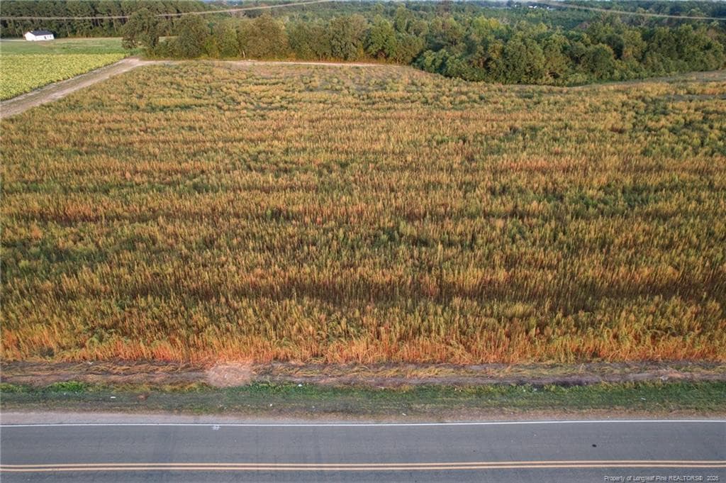 Photo 15 - 00 Daniels (Lot 2) Road, Dunn, NC 28334, Dunn