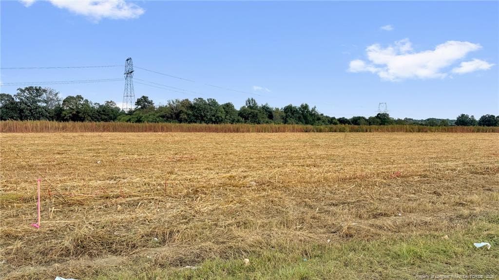 Photo 22 - 00 Daniels (Lot 2) Road, Dunn, NC 28334, Dunn