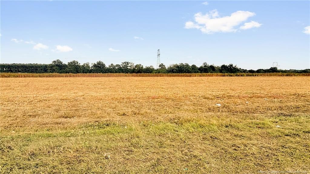 Photo 24 - 00 Daniels (Lot 2) Road, Dunn, NC 28334, Dunn