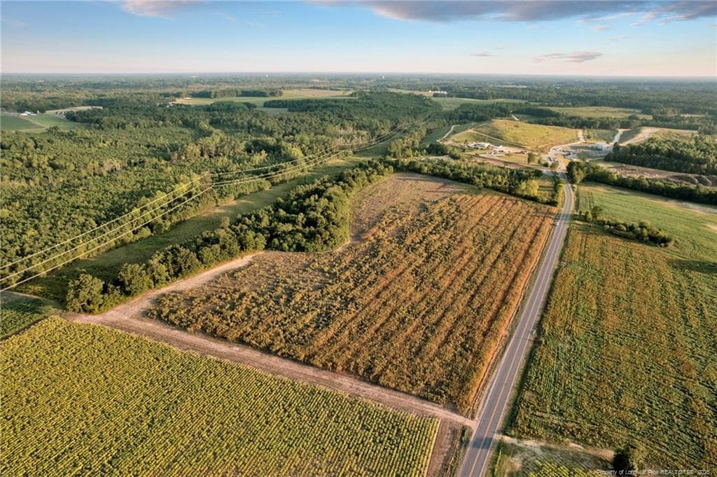 Photo 4 - 00 Daniels (Lot 3) Road, Dunn, NC 28334, Dunn