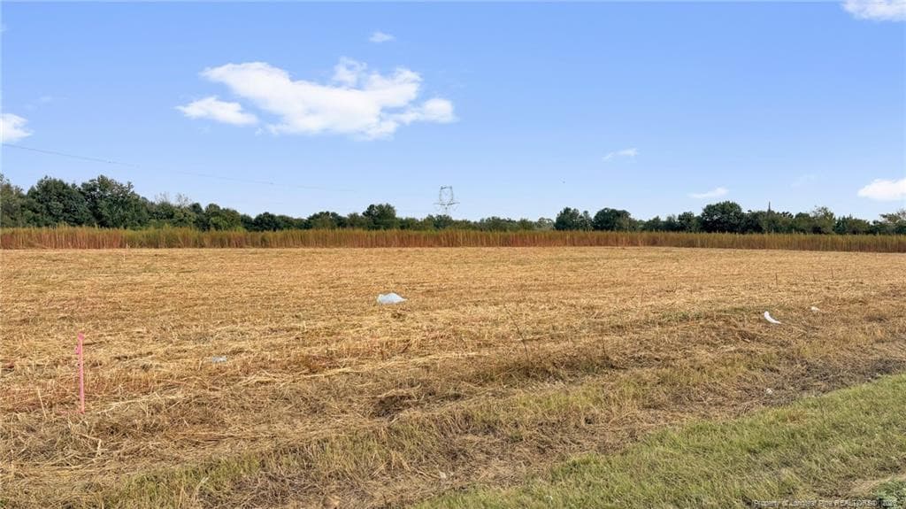 Photo 22 - 00 Daniels (Lot 3) Road, Dunn, NC 28334, Dunn