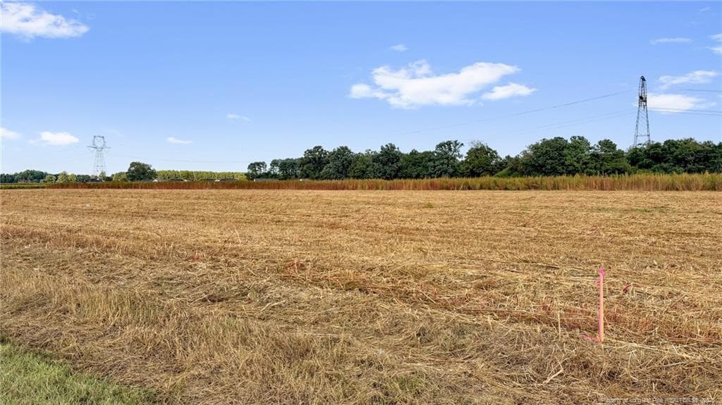 Photo 23 - 00 Daniels (Lot 3) Road, Dunn, NC 28334, Dunn