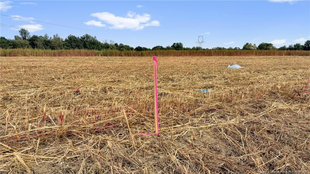 Photo 25 - 00 Daniels (Lot 3) Road, Dunn, NC 28334, Dunn