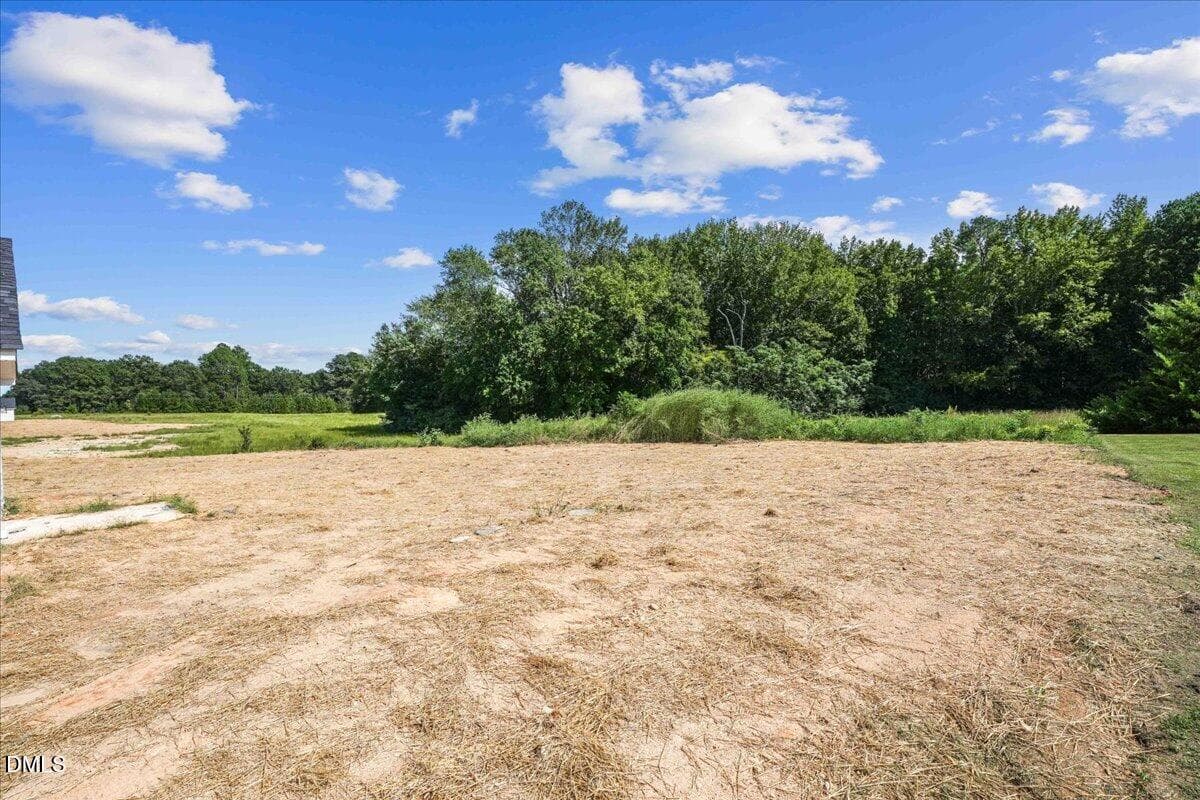 07-11365 Red Bud Rd-6 - 11365 Red Bud Road, Castalia, NC 27816