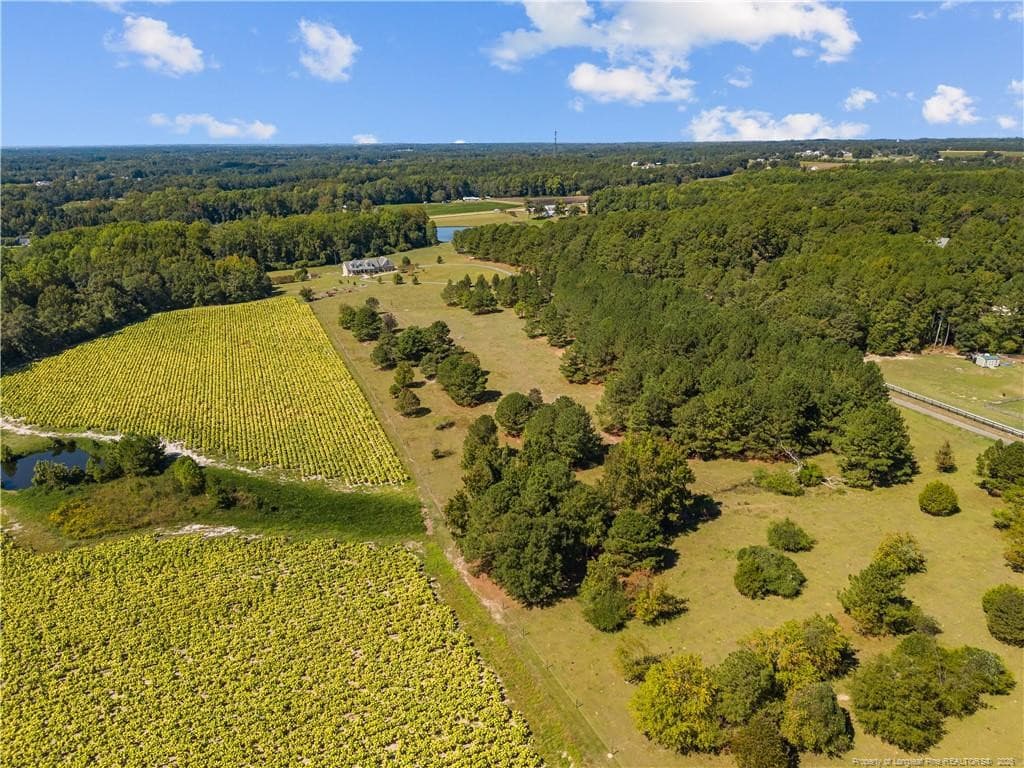 Photo 2 - 592 McNeill Mill Road, Broadway, NC 27505
