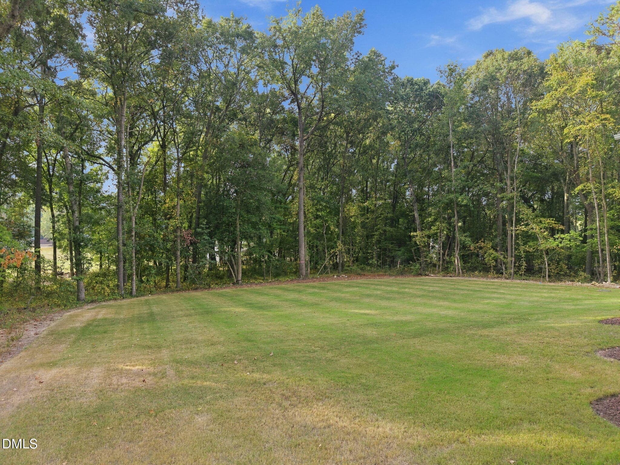 6-web-or-mls-DJI_20261002090428_0644_D - 317 Black Caviar Way, Raleigh, NC 27603