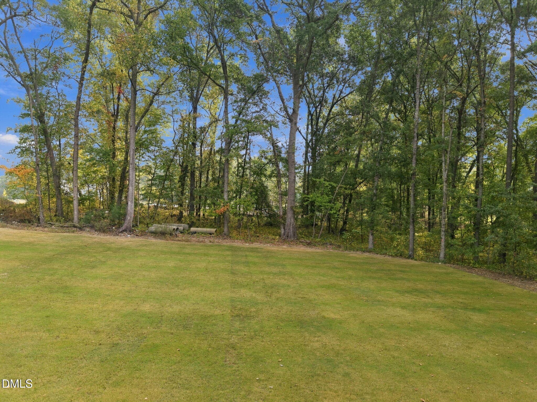 11-web-or-mls-DJI_20261002090607_0649_D - 317 Black Caviar Way, Raleigh, NC 27603