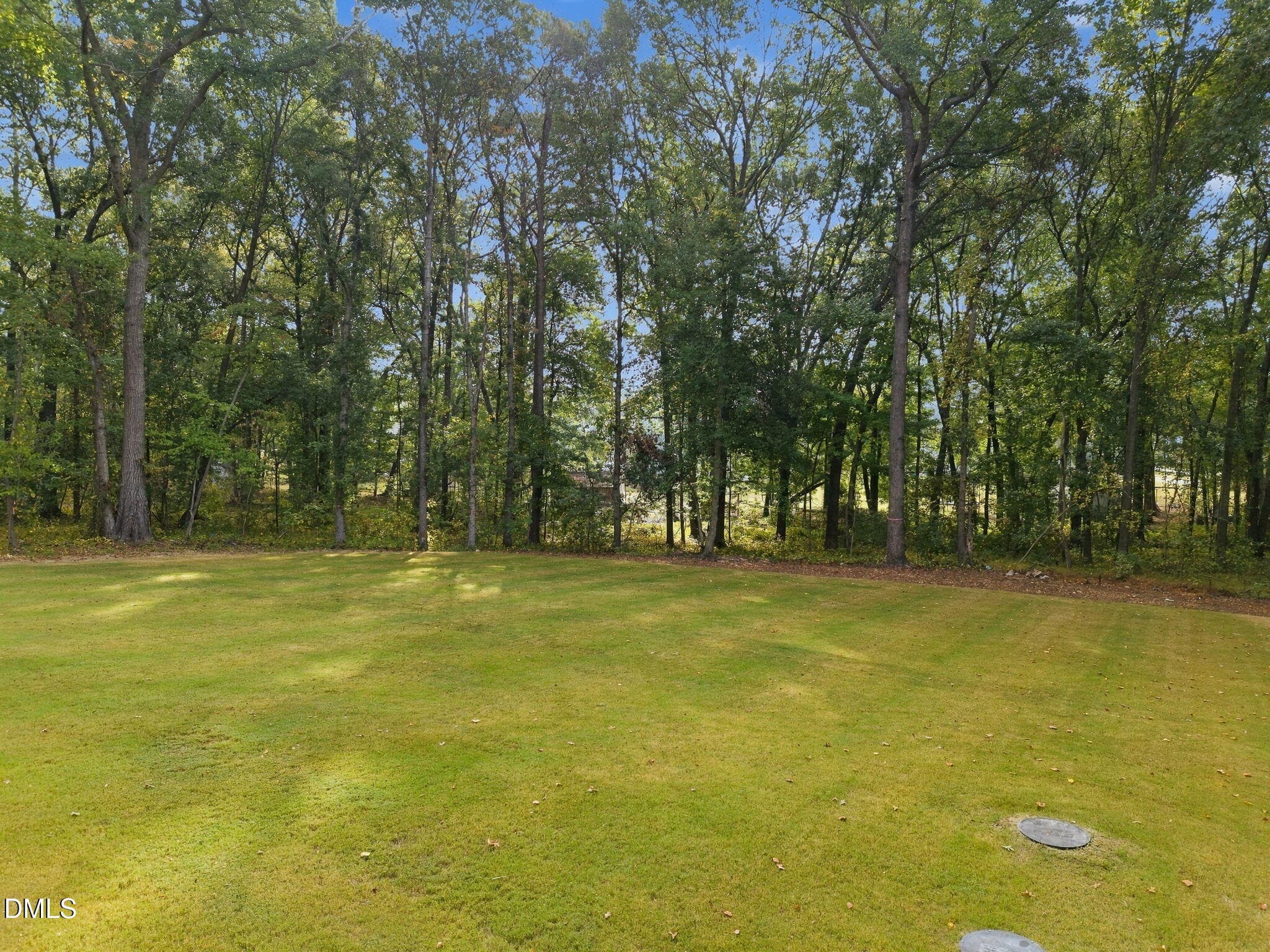 12-web-or-mls-DJI_20261002090623_0650_D_ - 317 Black Caviar Way, Raleigh, NC 27603