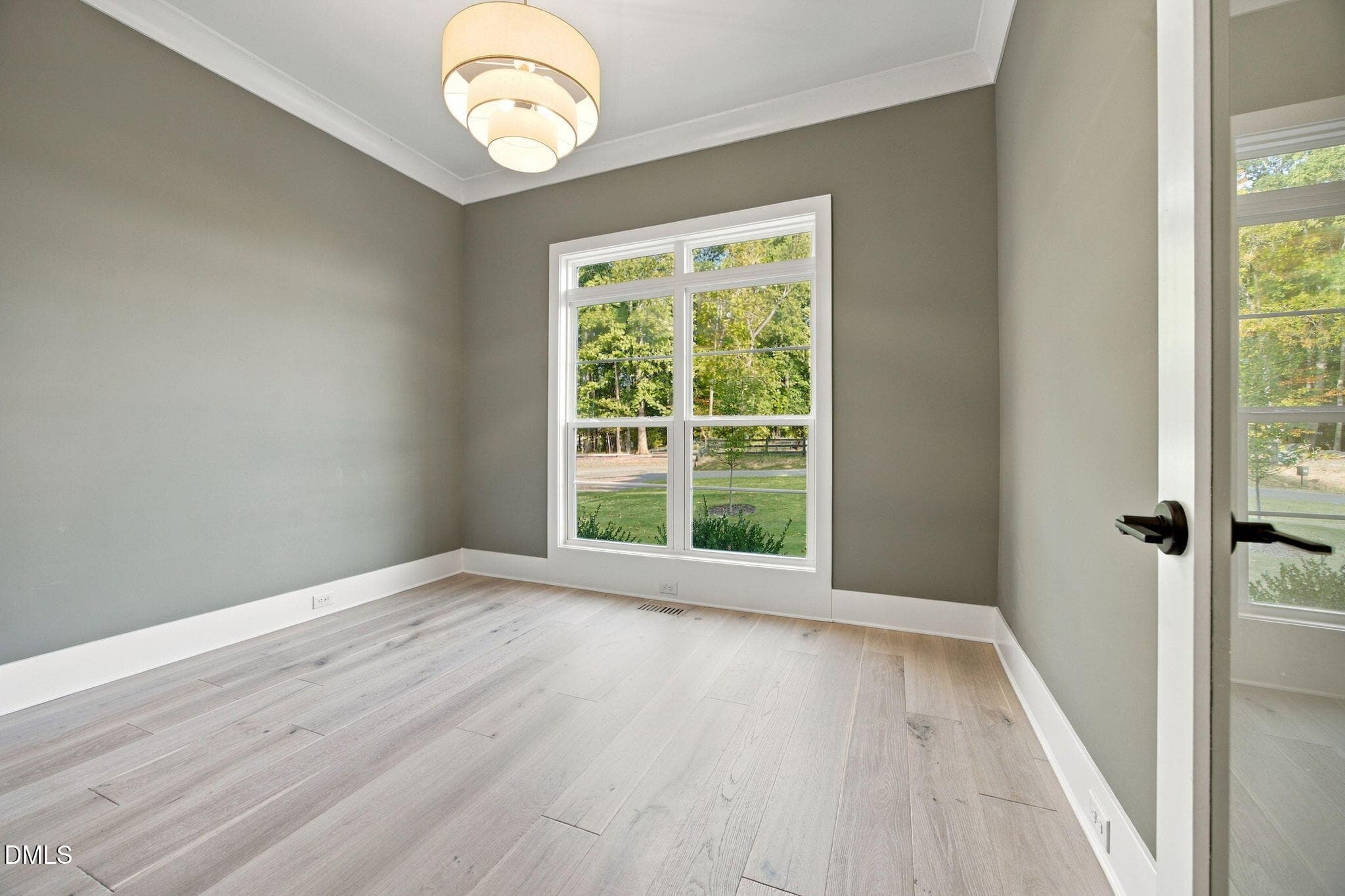 21-web-or-mls-IMG_7307 - 317 Black Caviar Way, Raleigh, NC 27603