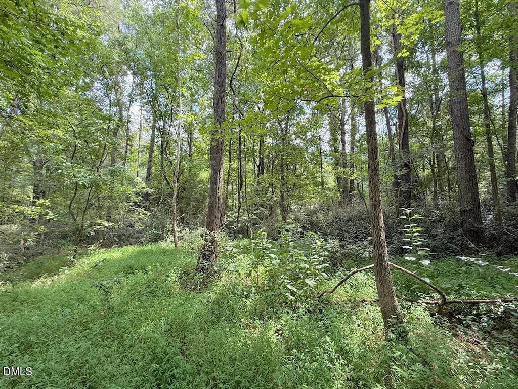 9 - 0 Laurel Ridge Road, Durham, NC 27705, Durham