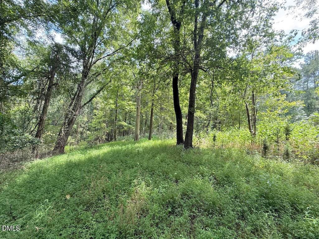 16 - 0 Laurel Ridge Road, Durham, NC 27705, Durham