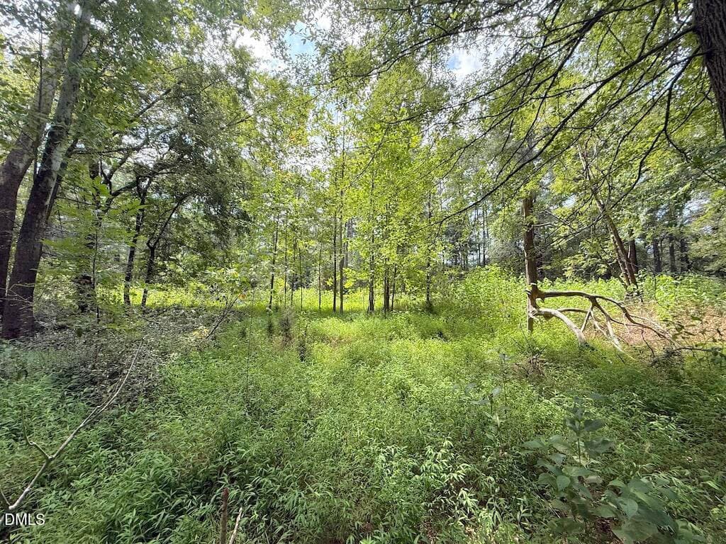 17 - 0 Laurel Ridge Road, Durham, NC 27705, Durham