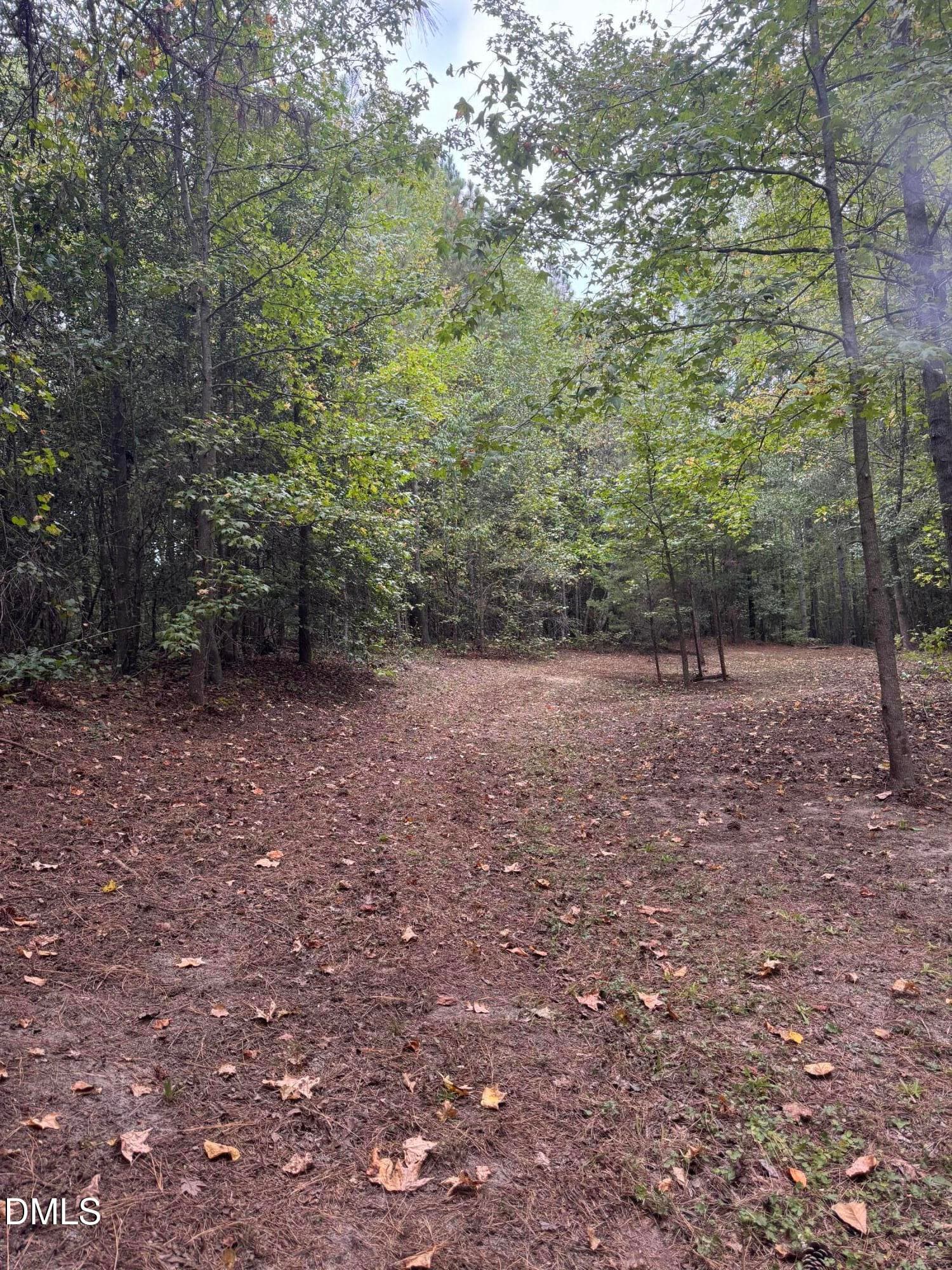 IMG_2410 - 3829 Standing Pine Lane, Zebulon, NC 27597, Zebulon