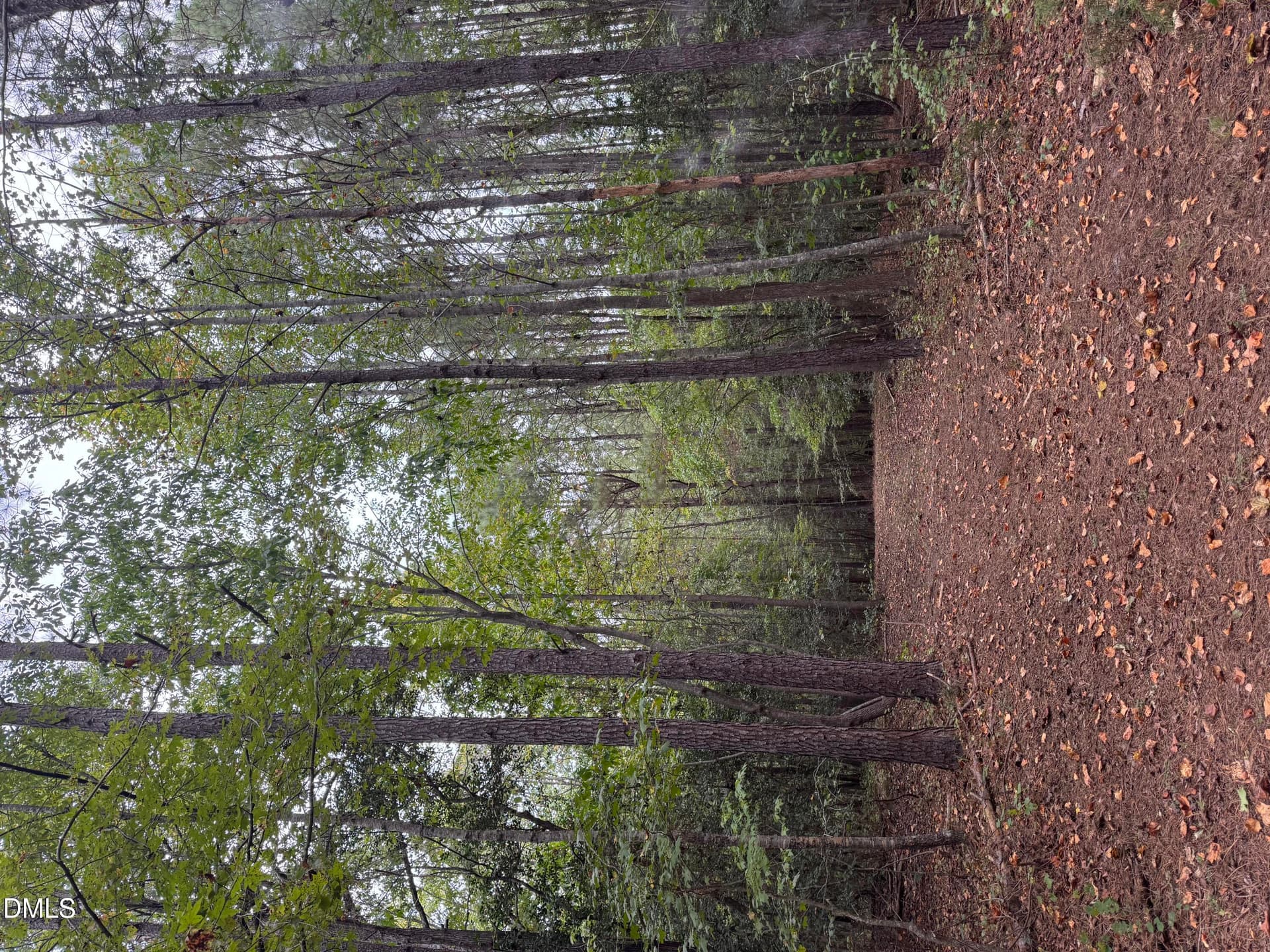 IMG_2407 - 3829 Standing Pine Lane, Zebulon, NC 27597