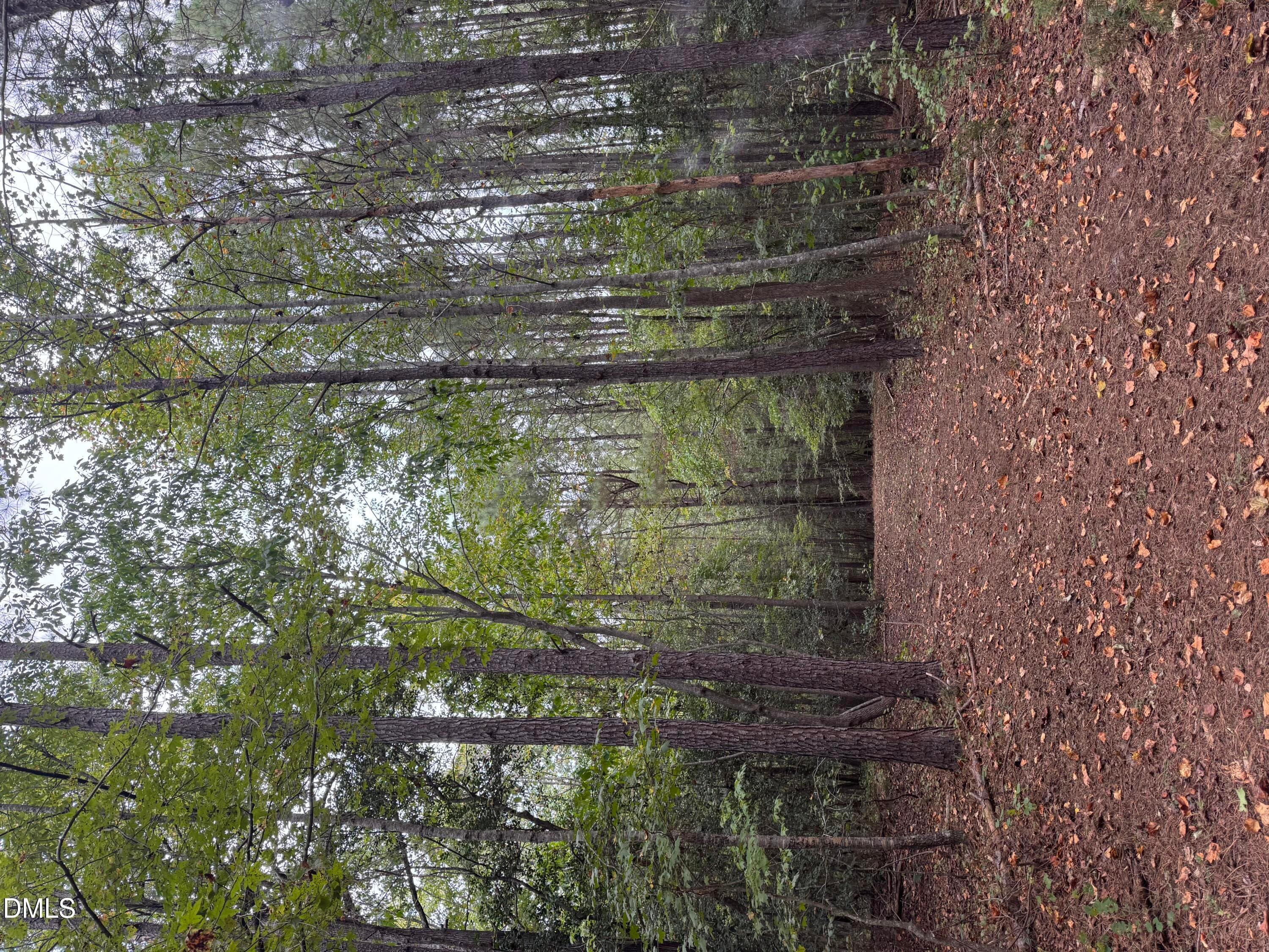 IMG_2407 - 3829 Standing Pine Lane, Zebulon, NC 27597, Zebulon