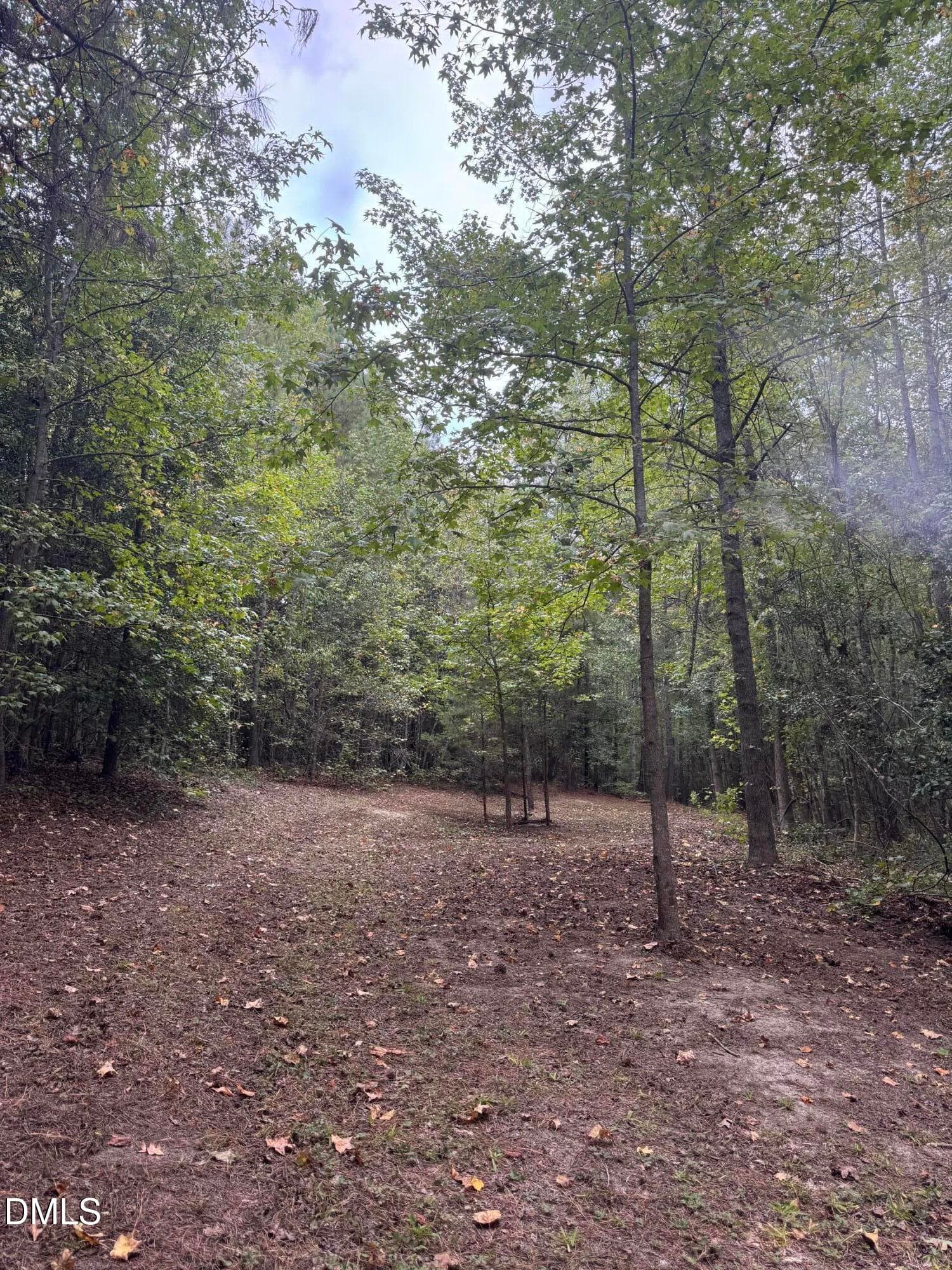 IMG_2409 - 3829 Standing Pine Lane, Zebulon, NC 27597, Zebulon