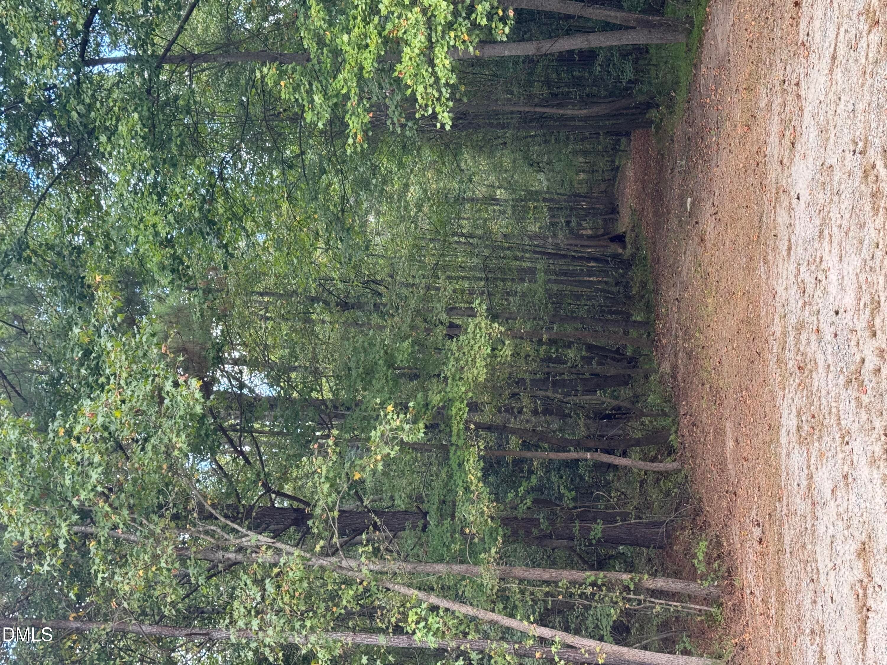 IMG_2417 - 3829 Standing Pine Lane, Zebulon, NC 27597, Zebulon